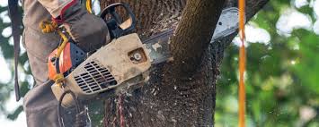 Best Utility Line Clearance  in Emah, OK