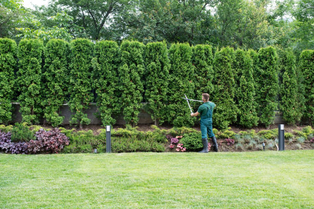 Best Hazardous Tree Removal  in Emah, OK