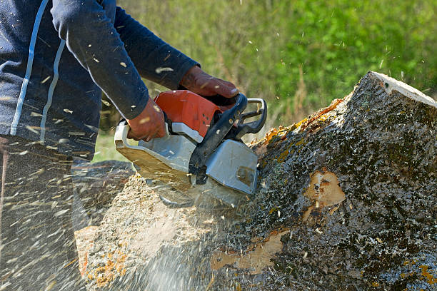 Best Soil Testing and Treatment  in Emah, OK